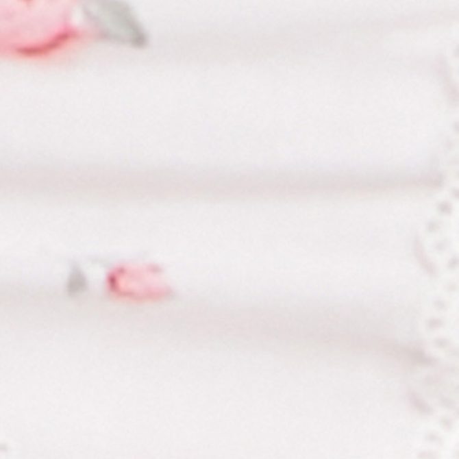 Iris Floral Print Lace Detail Cropped Tube Top - Image 4