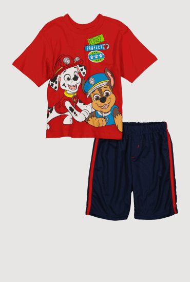 Little Boys Paw Patrol Graphic Tee and Jersey Mesh Shorts